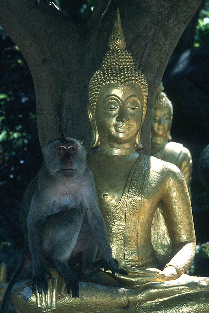 Thailand 1996